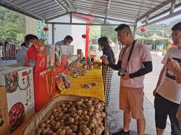 玉米基功能食品在运动营养中的应用潜力